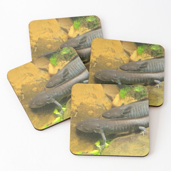 Item preview, Mosaic axolotl photography  designed and sold by KatyChristoff.