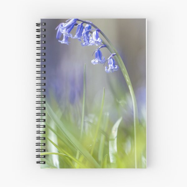 Item preview, Digital photograph of sunnlit bluebell with a soft focus designed and sold by SimonJohnson1.