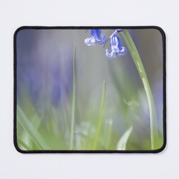 Item preview, Digital photograph of sunnlit bluebell with a soft focus designed and sold by SimonJohnson1.
