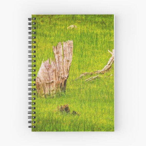 Item preview, Sailing The Sea of Grass, Bells Rapids, Perth designed and sold by Dave Catley.