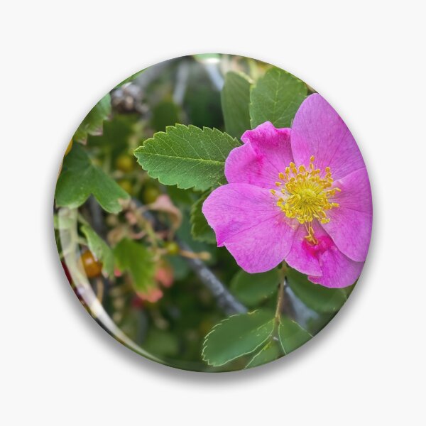 Artikelvorschau, Bergrose und Beeren entworfen und verkauft von Debra Martz.