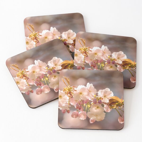 Item preview, Digital photograph of  white Cherry blossom with a soft focus designed and sold by SimonJohnson1.