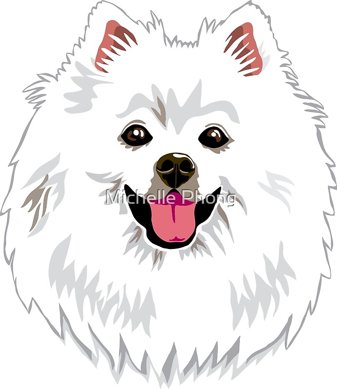 "American Eskimo" by Michelle Phong | Redbubble