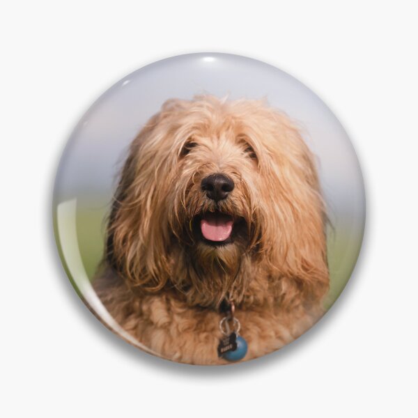Item preview, Pablo the fluffy dog designed and sold by claudiacontena.