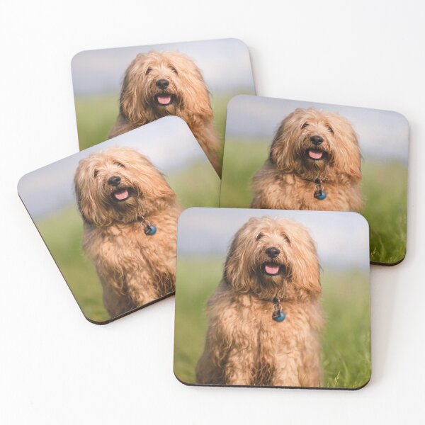 Item preview, Pablo the fluffy dog designed and sold by claudiacontena.