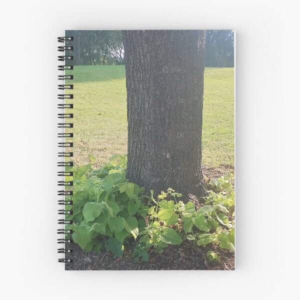 Aperçu de l'œuvre Lierre autour de l'arbre créée et vendue par Spaghetti13.