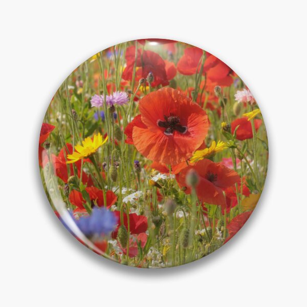 Artikelvorschau, Digitales digitales Foto sonnenbeschienenen Mohnfeld mit Wiesenblumen Cotswolds Gloucestershire entworfen und verkauft von SimonJohnson1.