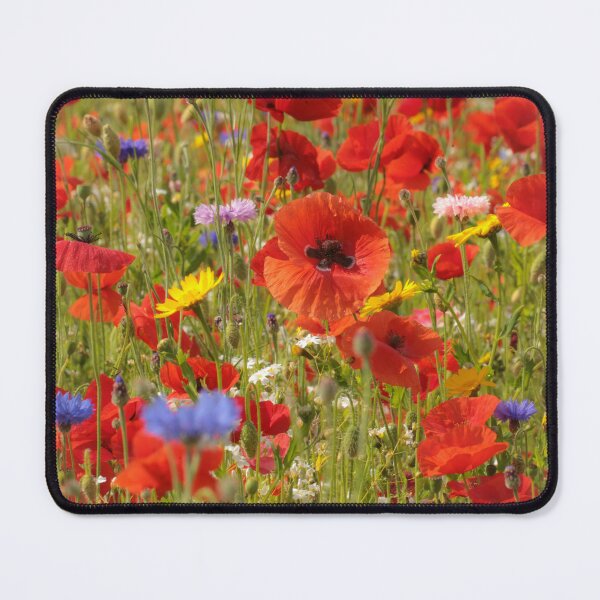Item preview, Digital Digital photograph sunlit poppy field with meadow flowers Cotswolds Gloucestershire  designed and sold by SimonJohnson1.