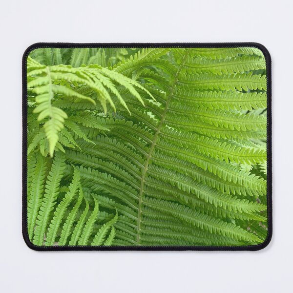 Item preview, Fern style. designed and sold by Valgasnews011.