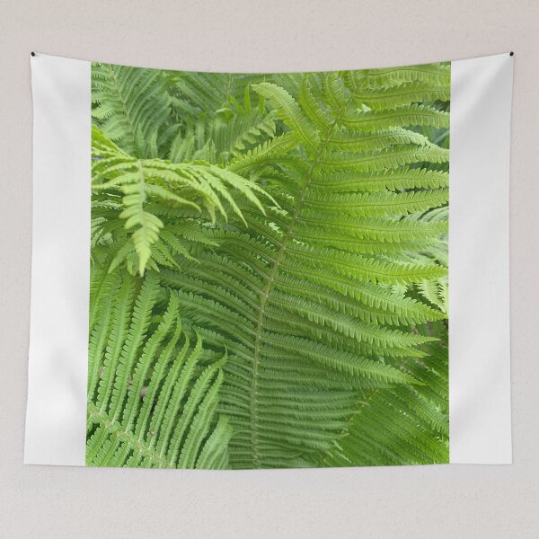 Item preview, Fern style. designed and sold by Valgasnews011.