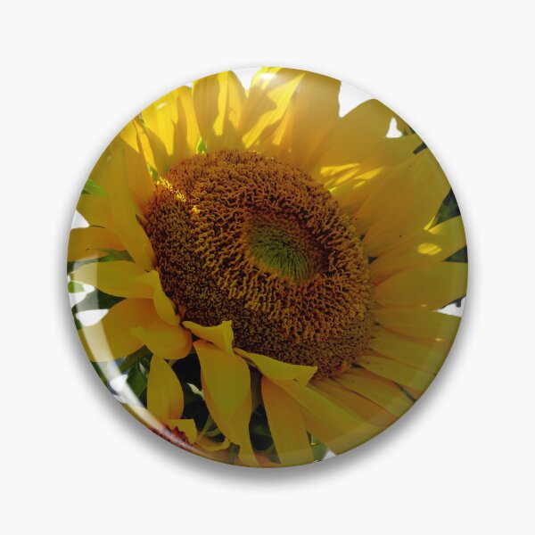 Item preview, Sunflowers  designed and sold by CarolBeeDesigns.