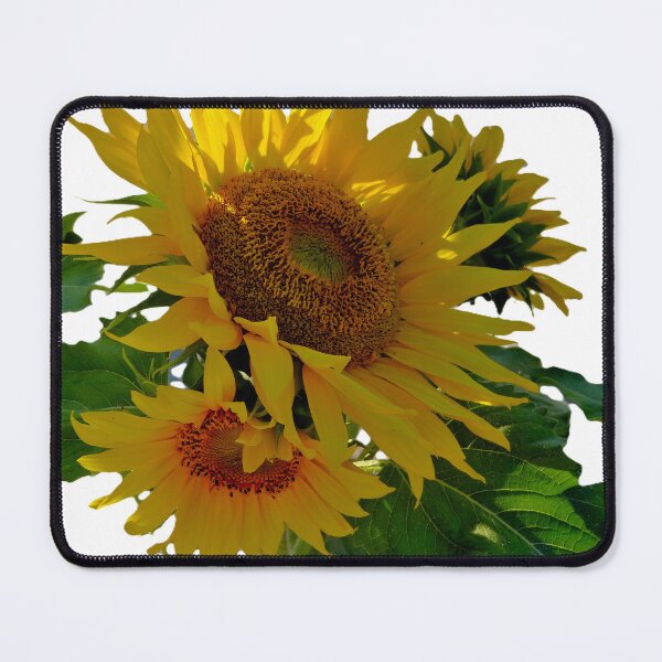 Item preview, Sunflowers designed and sold by CarolBeeDesigns.