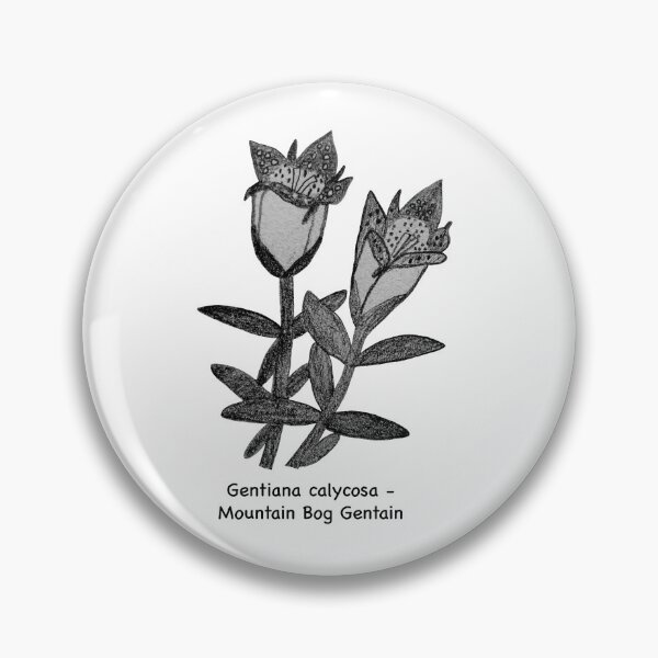 Item preview, Mountain Bog Gentian - Gentiana calycosa designed and sold by scarpacific.