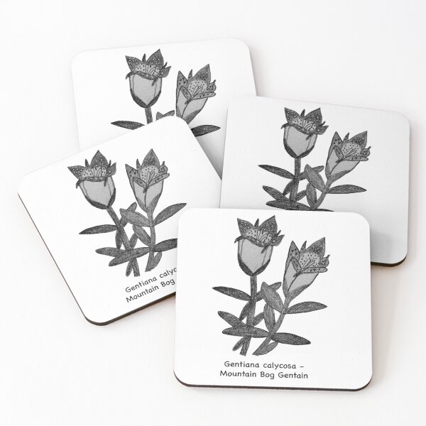 Item preview, Mountain Bog Gentian - Gentiana calycosa designed and sold by scarpacific.