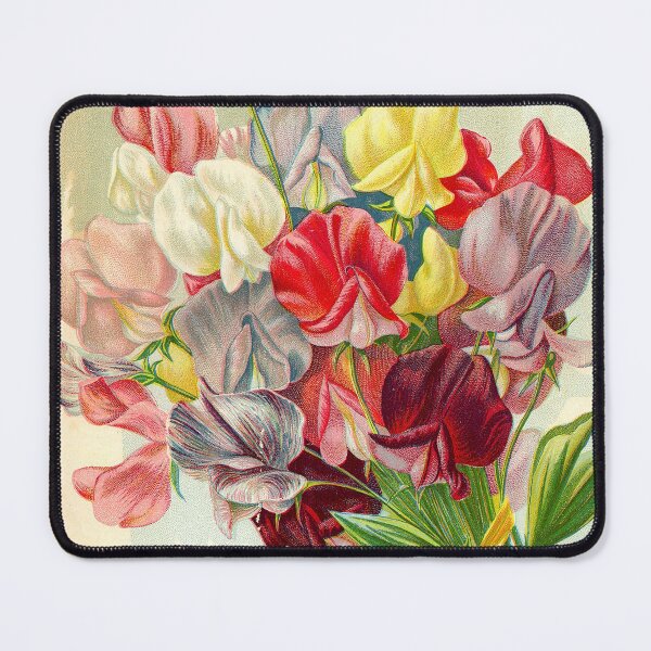 Item preview, Sweet Peas - Cole's  1893 Vintage Seed Poster designed and sold by killies.
