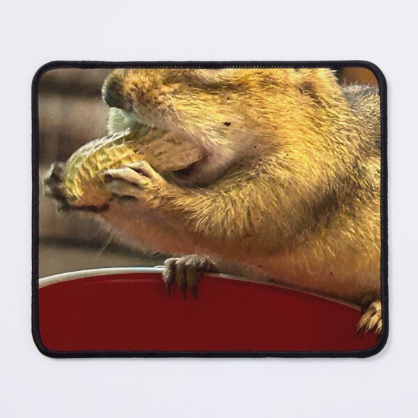 Artikelvorschau, Chipmunk entworfen und verkauft von AugmentedBeauty.