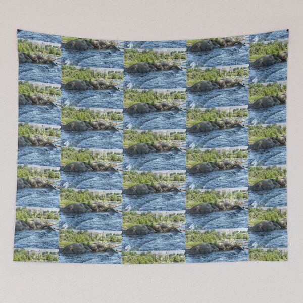 Item preview, The James River designed and sold by SarahEL17.
