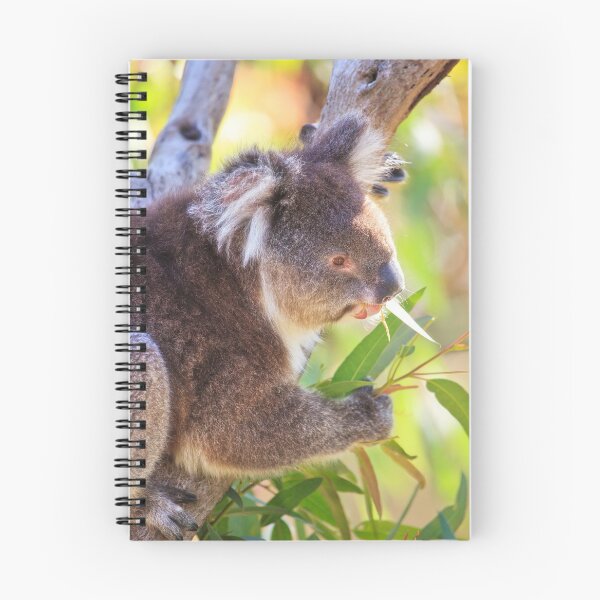 Item preview, Feed Me, Yanchep National Park designed and sold by Dave Catley.