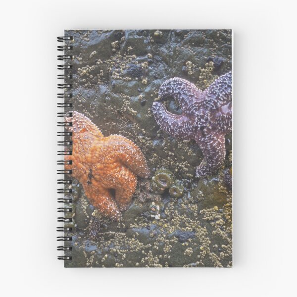 Item preview, Dancing Ochre Sea Stars designed and sold by outdoorstudio.