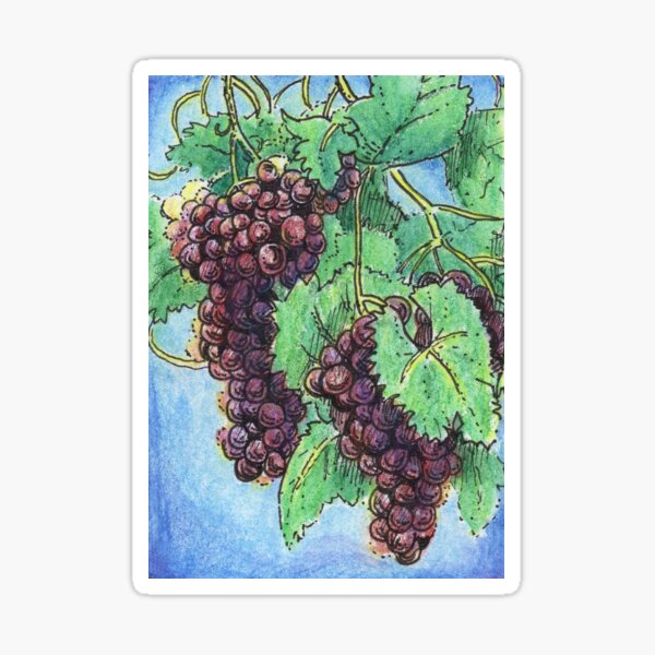 Mixed Media Art Red Purple Grapes on Vine Sticker