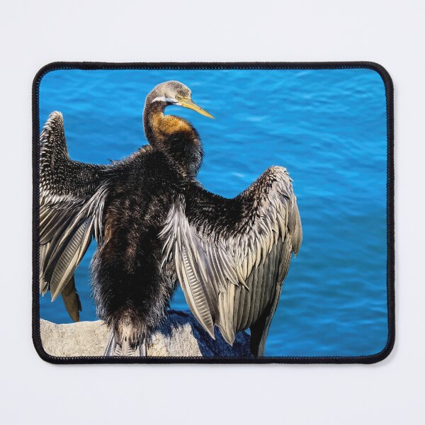 Item preview, Tuncurry Darter Bird 7377 designed and sold by kevin Chippindall.