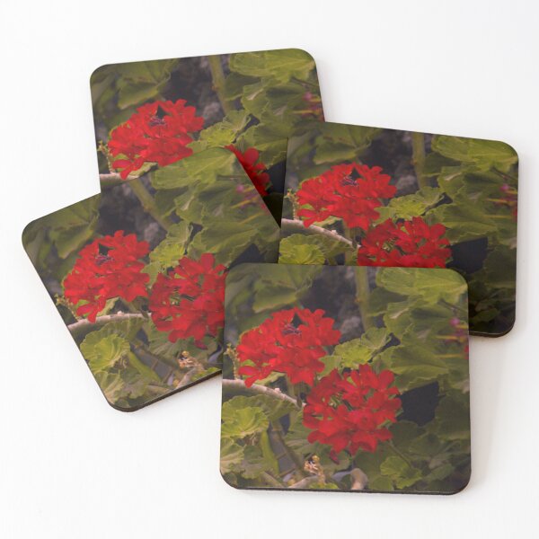 Item preview, Featured flowers designed and sold by LoooPSLuPo.