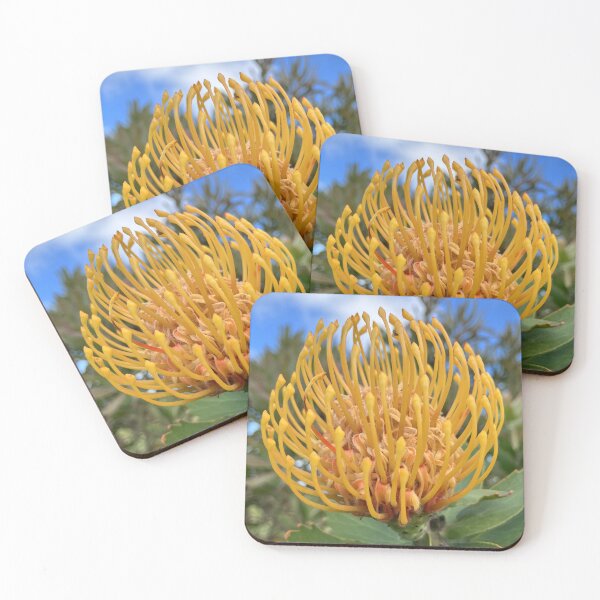 Item preview, Wild yellow pincussion wonder designed and sold by BeNaturally24.