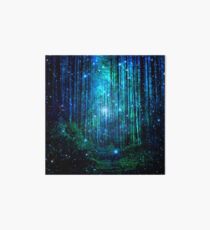 In the magical Forest Art Board