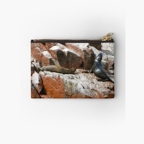 Item preview, Seals Behind - Paracas and Ballestas Islands - Peru - South America designed and sold by exploramum.
