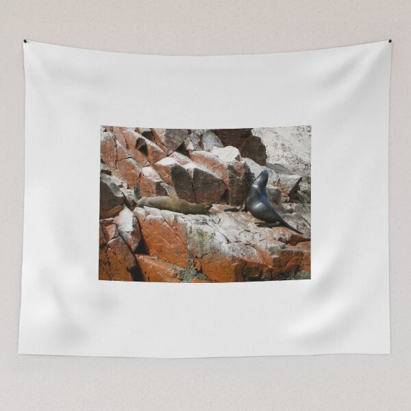Item preview, Seals Behind - Paracas and Ballestas Islands - Peru - South America designed and sold by exploramum.