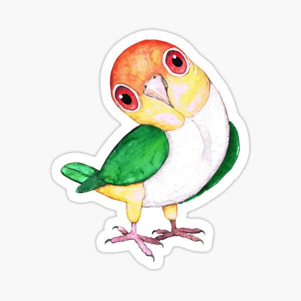 White bellied caique Sticker