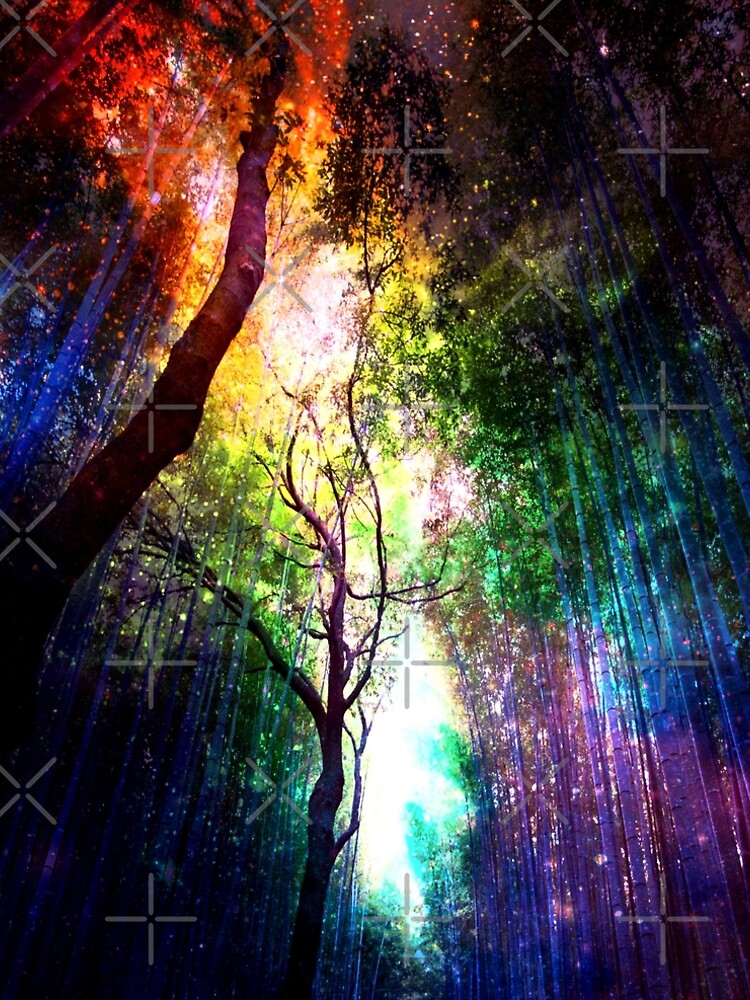 Rainbow forest by haroulita