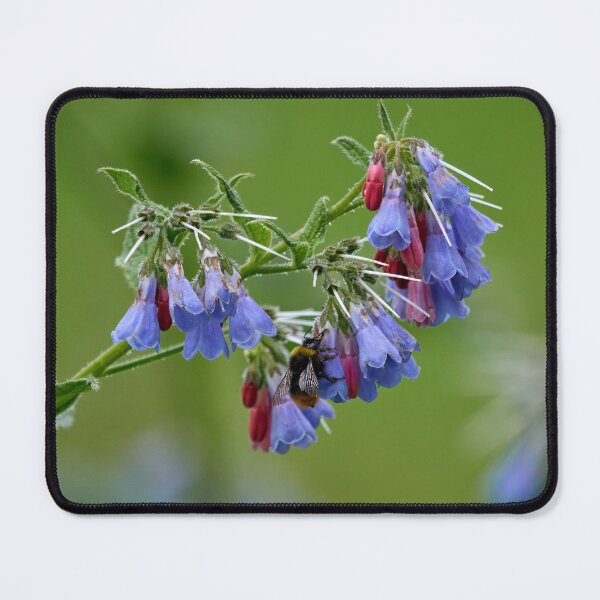 Item preview, Rough comfrey with a bumblebee designed and sold by Jouko Lehto Photography.
