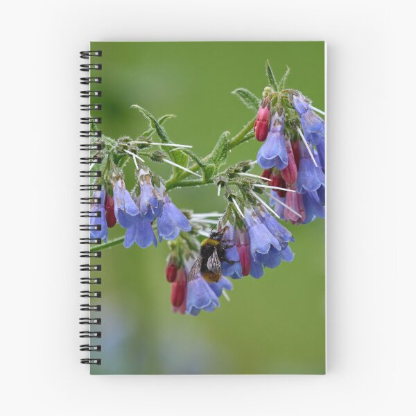 Item preview, Rough comfrey with a bumblebee designed and sold by Jouko Lehto Photography.