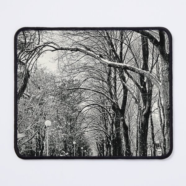 Item preview, Street Photography, Snow on Trees, Perspective designed and sold by IdoFriedmanArt.