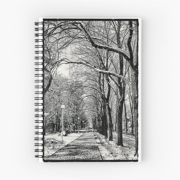 Item preview, Street Photography,  Snow on Trees, Perspective  designed and sold by IdoFriedmanArt.