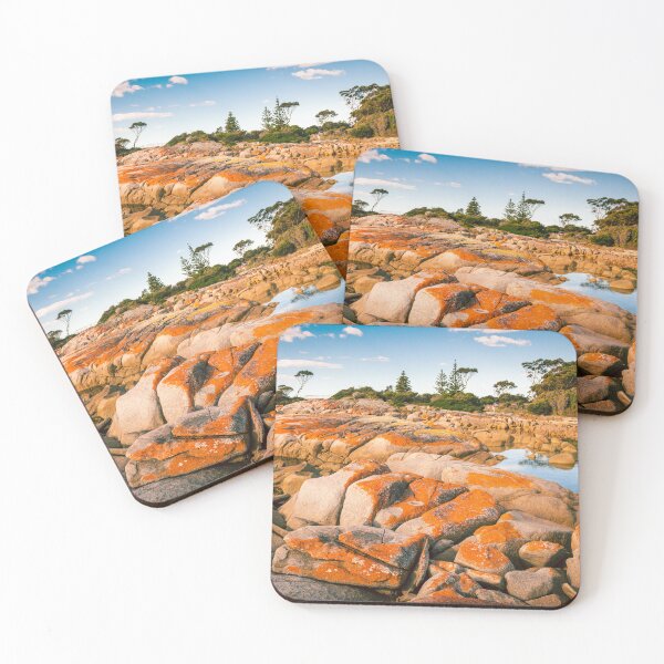 Item preview, Orange Lichen  designed and sold by TedmBinegas.