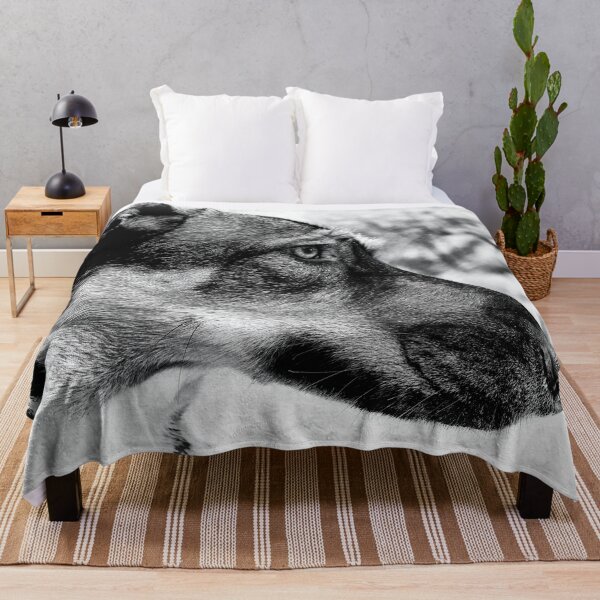 Item preview, Artistic Dog Photography, Pet Portraits, Canine Art Print (1of3) designed and sold by IdoFriedmanArt.