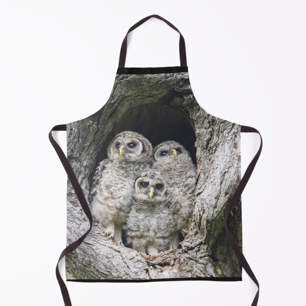 Item preview, Curious Baby Barred owls designed and sold by Puttaswamy Ravishankar.