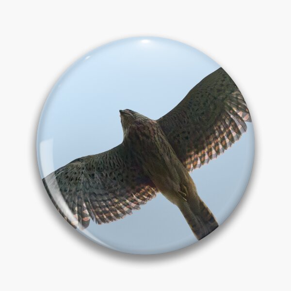 Item preview, On the fly. Common kestrel designed and sold by Jouko Lehto Photography.