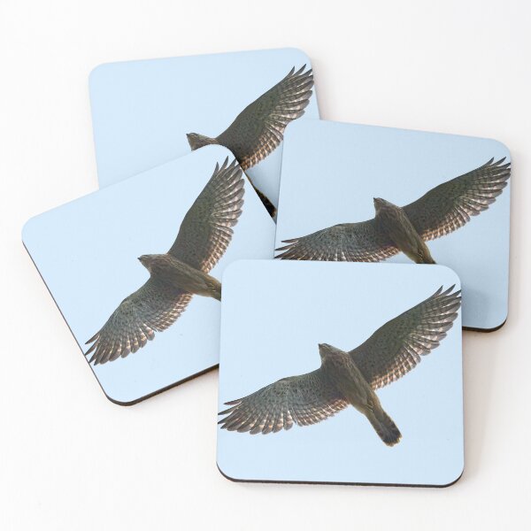 Item preview, On the fly. Common kestrel designed and sold by Jouko Lehto Photography.