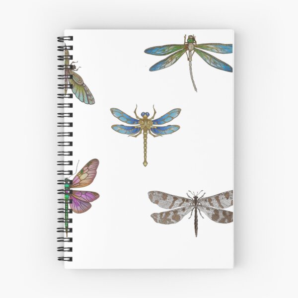 Item preview, dry Dragon fly sticker  designed and sold by WEShop23.