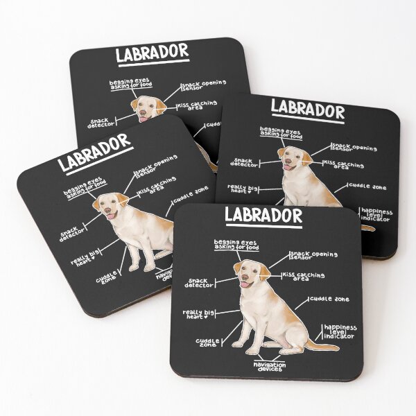 Item preview, Anatomy of a Labrador designed and sold by alies-art.