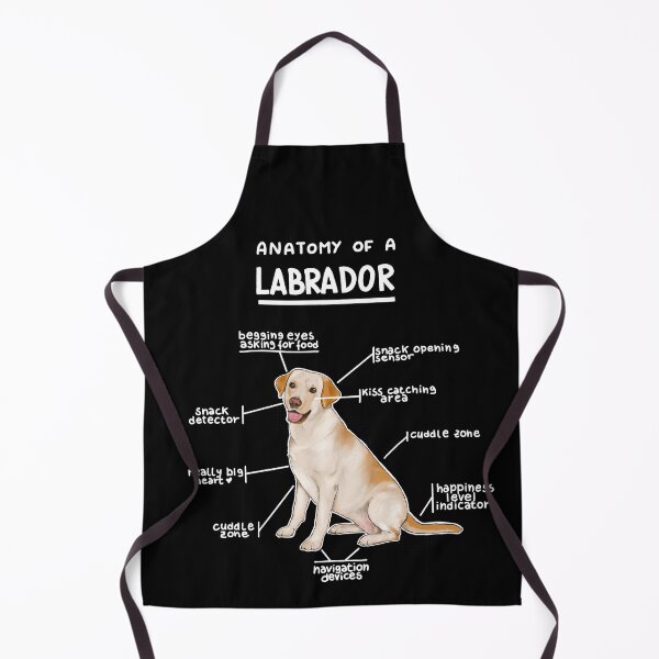 Item preview, Anatomy of a Labrador designed and sold by alies-art.
