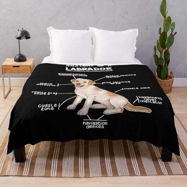 Item preview, Anatomy of a Labrador designed and sold by alies-art.