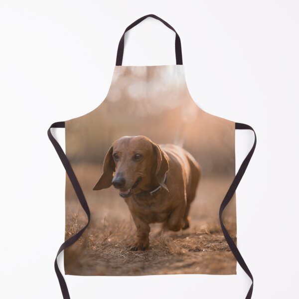 Item preview, Dachshund dog at sunset designed and sold by claudiacontena.