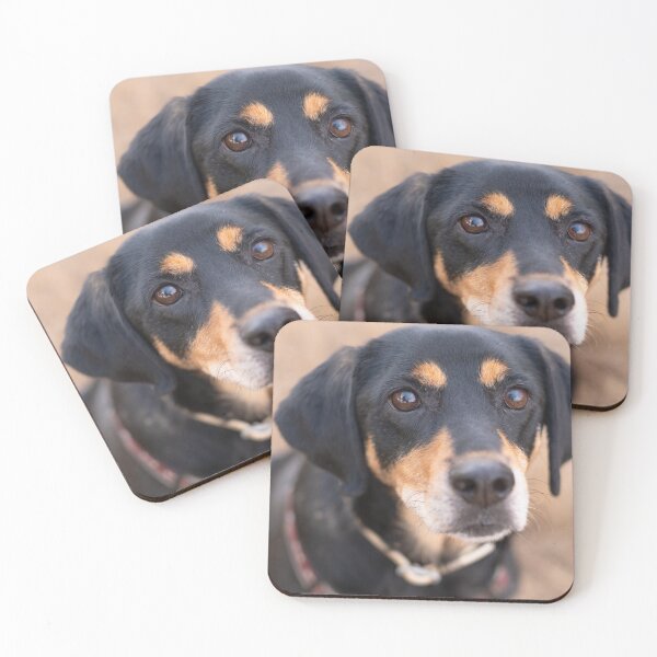 Item preview, Black and brown dog cute puppy designed and sold by claudiacontena.