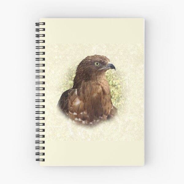 Item preview, Honey buzzard designed and sold by Guardi71.