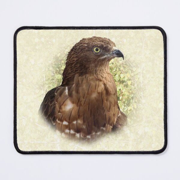 Item preview, Honey buzzard designed and sold by Guardi71.