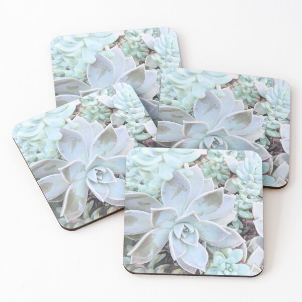 Item preview, Dreamy Succulents | Square Version designed and sold by Page Photography.